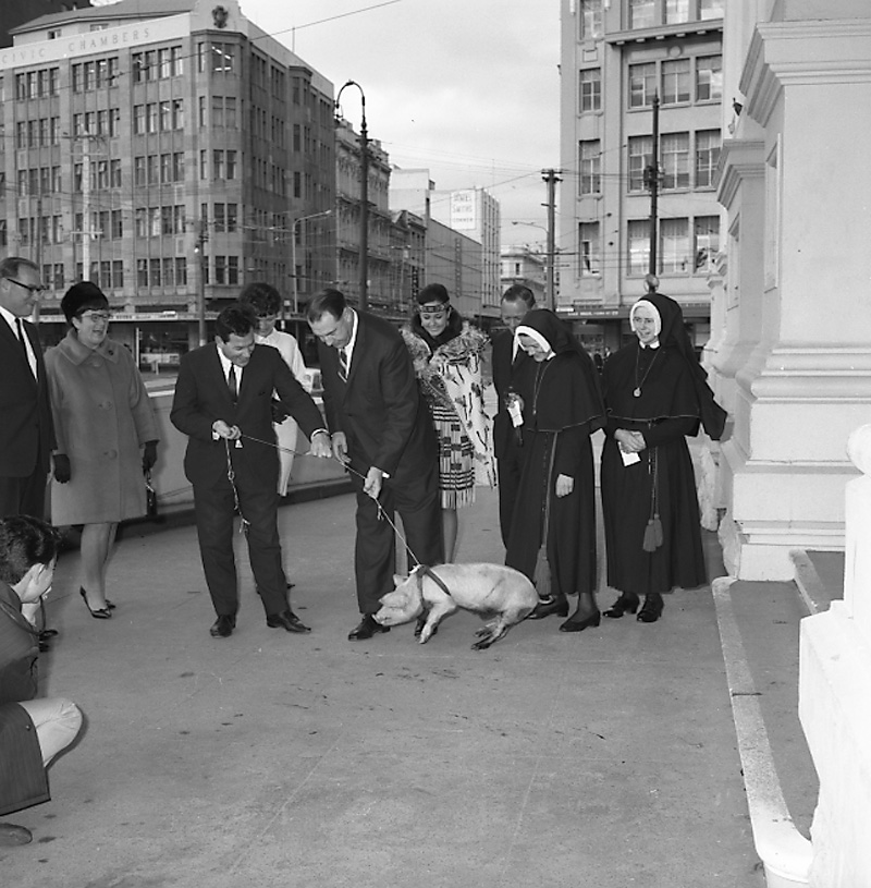 e. Rotorua Meter Maid