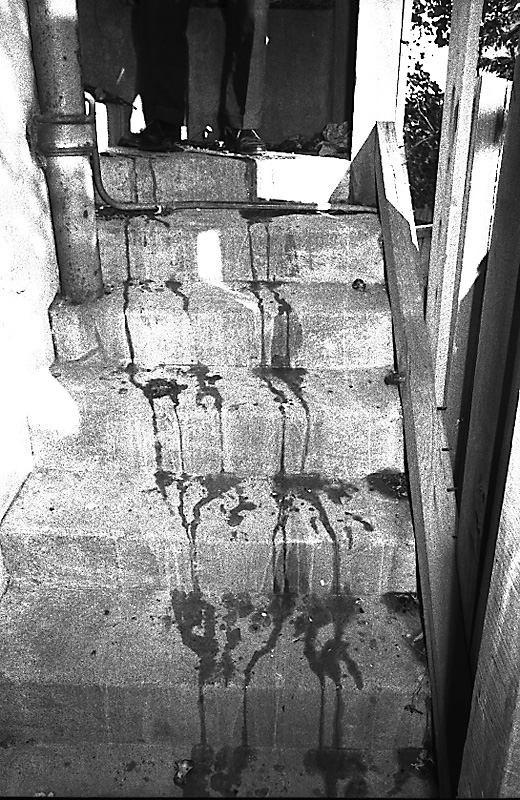 o. No 354 Oriental Parade, substandard dwelling (Mr Spiros Savos)