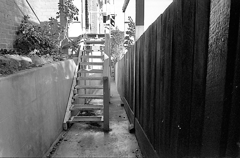 s. No 31 Rata Rd, Pohutukawa roots in sewer drain (Mr B Zimmerman)