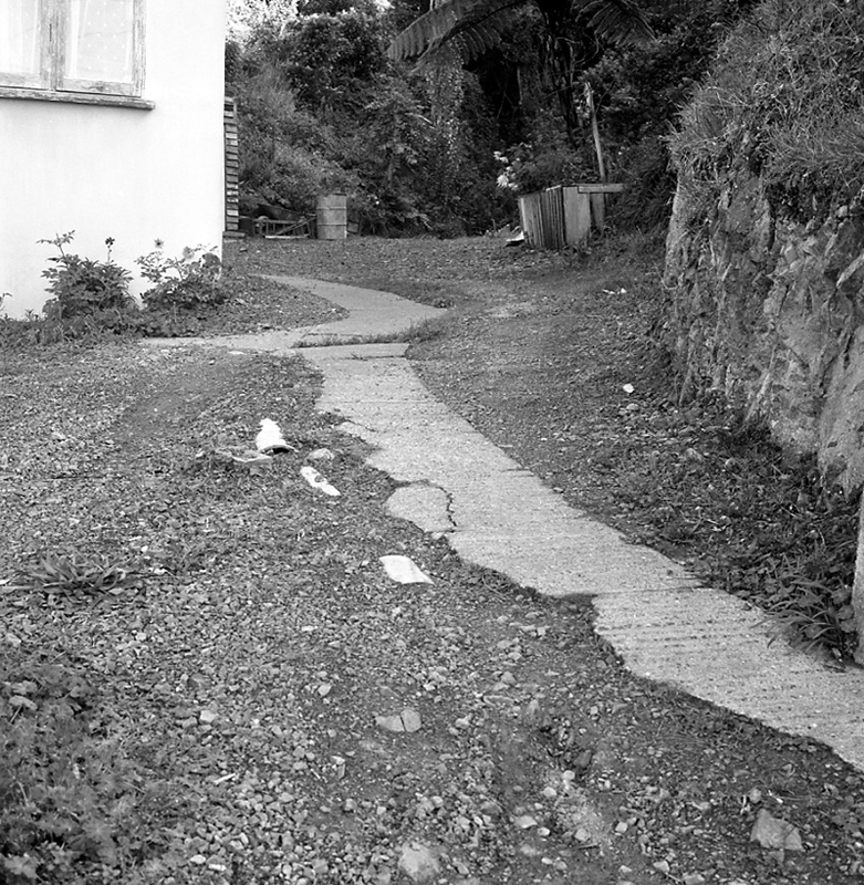 b. No 21 Balfour St, Clearing of sw grid