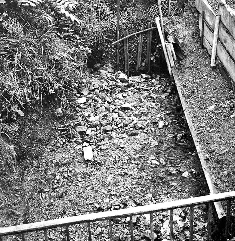 c. No 21 Balfour St, Clearing of sw grid