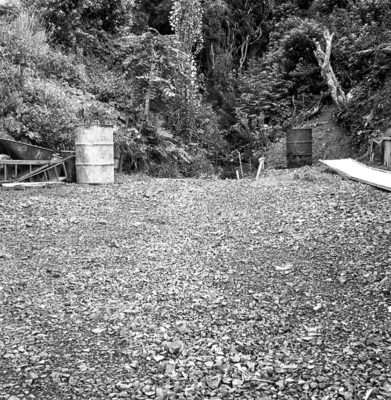 d. No 21 Balfour St, Clearing of sw grid