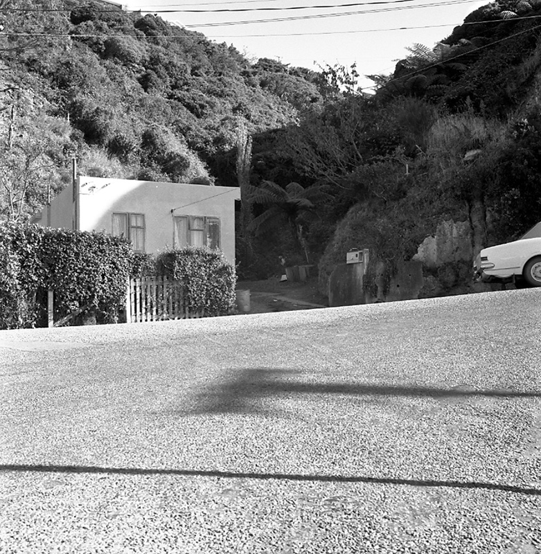 f. No 21 Balfour St, Clearing of sw grid