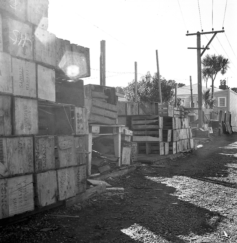 c. No 44 Owen St, Uneeda Fruit Co