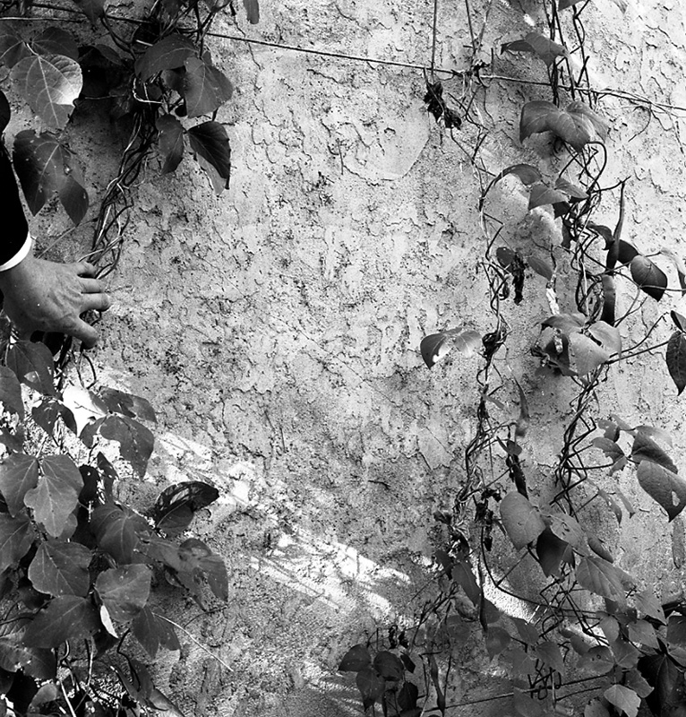 a. No 5 Creswick Terrace (Mrs McKenzie)