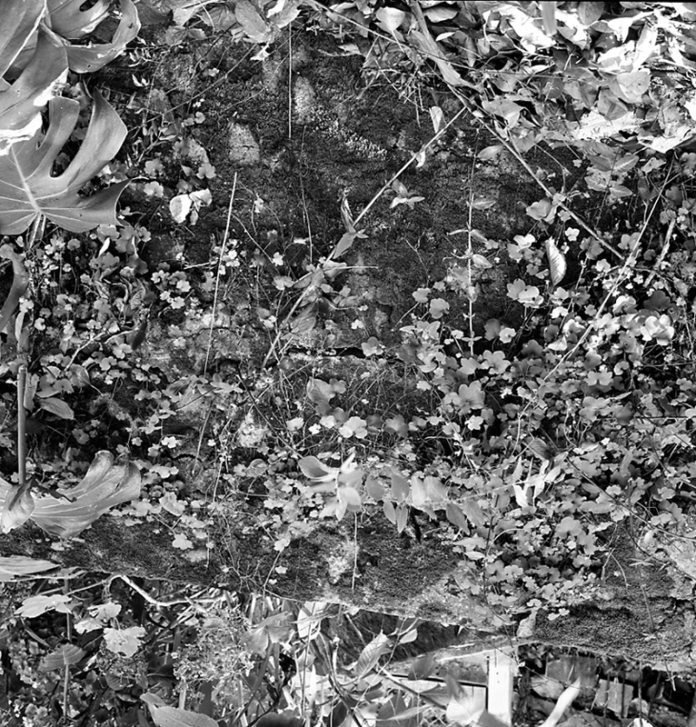 e. No 5 Creswick Terrace (Mrs McKenzie)