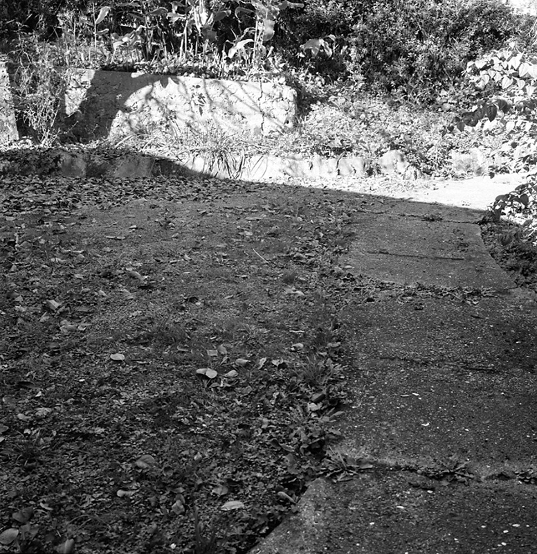 g. No 5 Creswick Terrace (Mrs McKenzie)