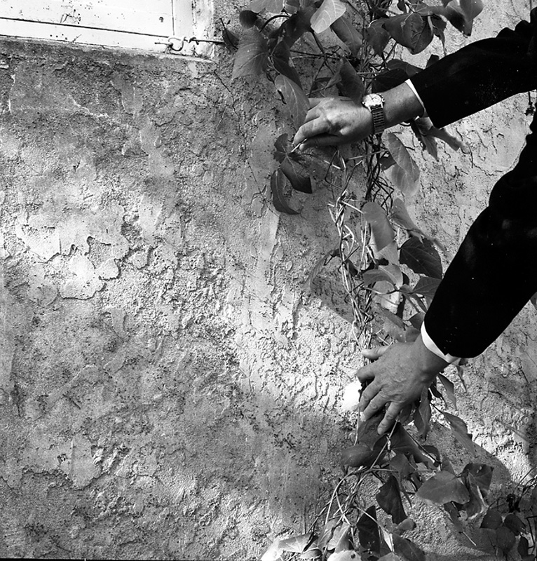 h. No 5 Creswick Terrace (Mrs McKenzie)