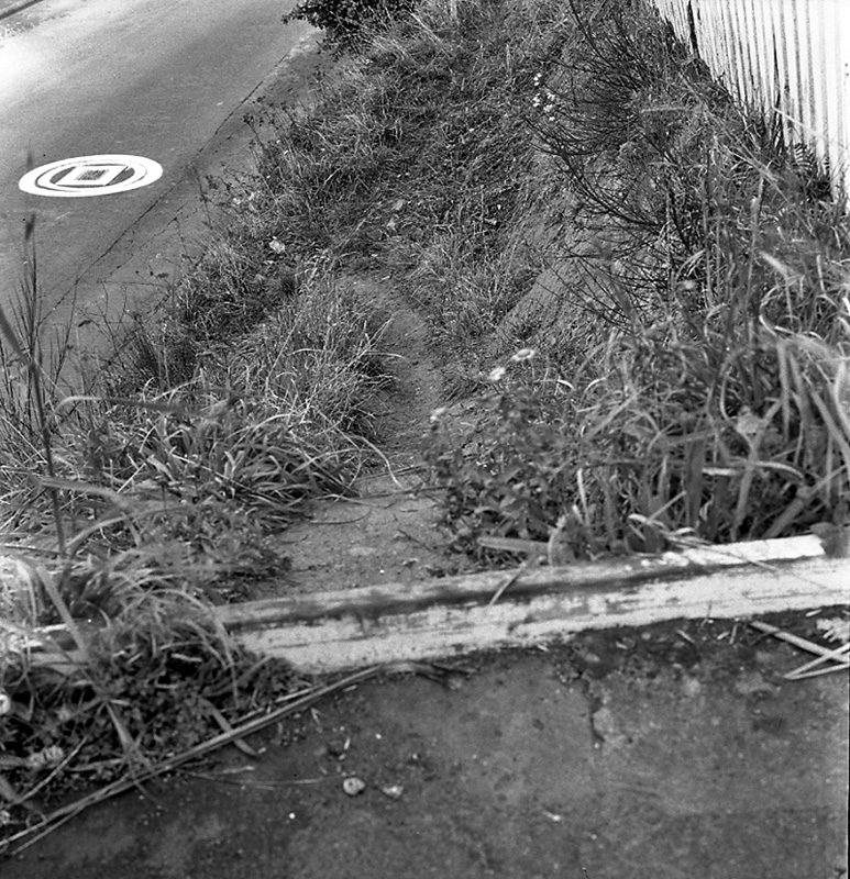 a. No 24 Mills Rd, site of proposed steps and path