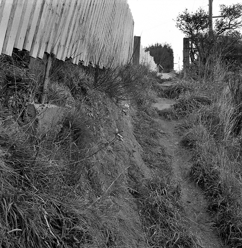 c. No 24 Mills Rd, site of proposed steps and path