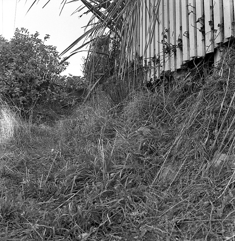 e. No 24 Mills Rd, site of proposed steps and path