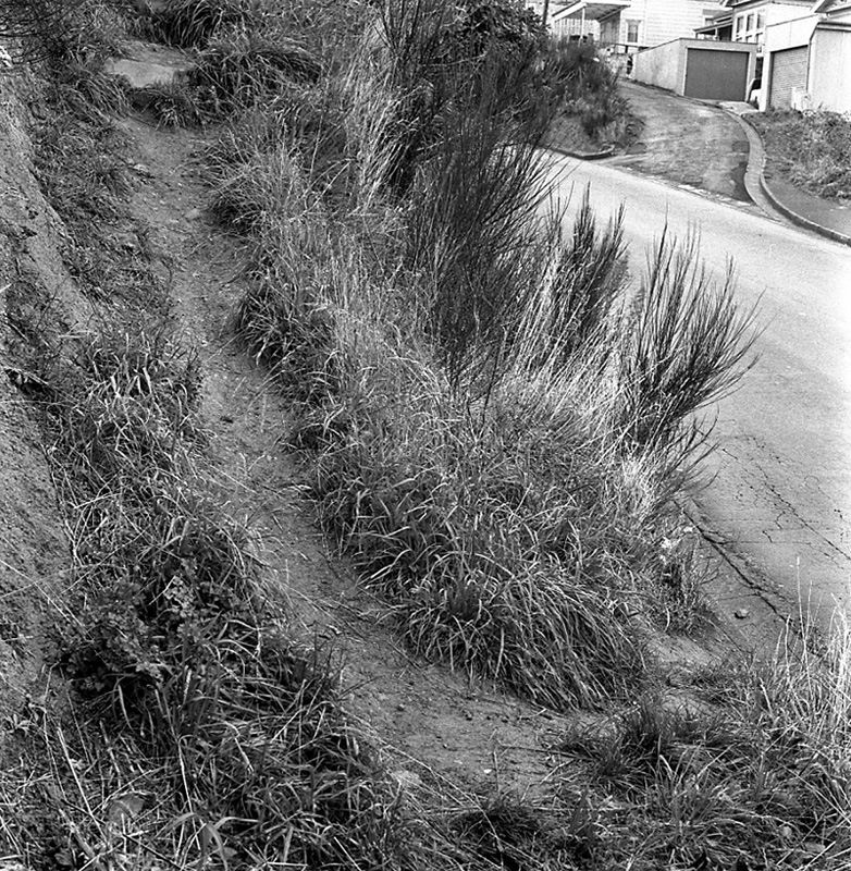 f. No 24 Mills Rd, site of proposed steps and path