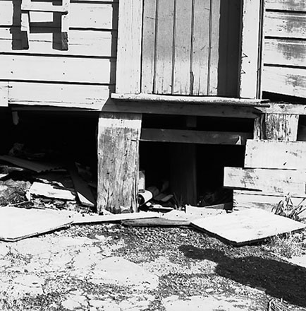 a. Backyards, Vivian Street