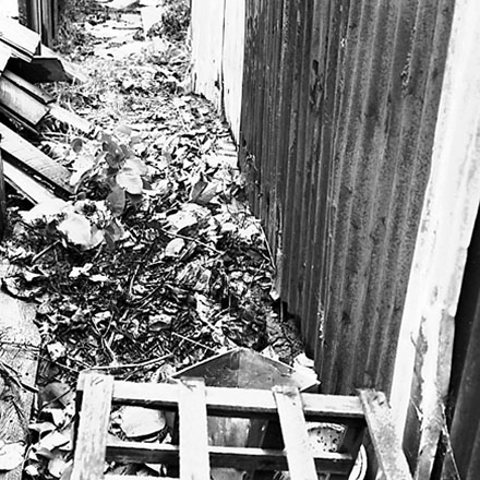 c. Backyards, Vivian Street