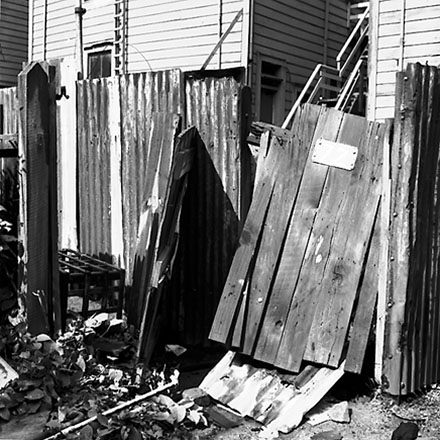 d. Backyards, Vivian Street