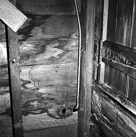 g. Backyards, Vivian Street