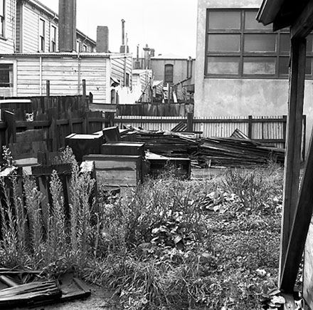 k. Backyards, Vivian Street