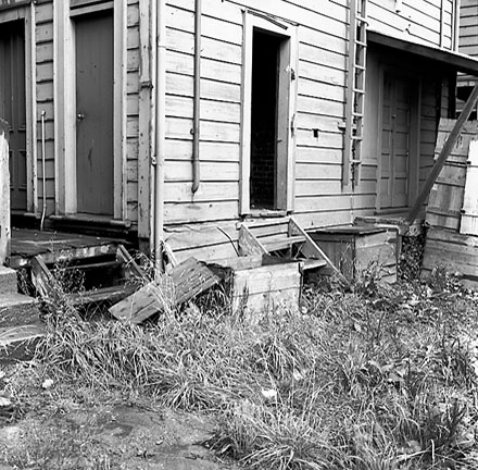 m. Backyards, Vivian Street