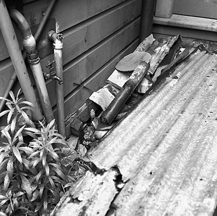 q. Backyards, Vivian Street