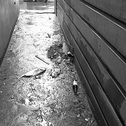 r. Backyards, Vivian Street