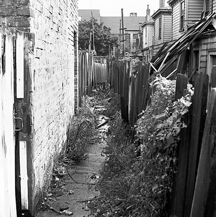 v. Backyards, Vivian Street