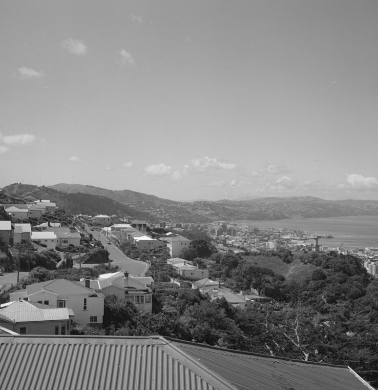 e. Views of Wellington from Fitchetts Farm