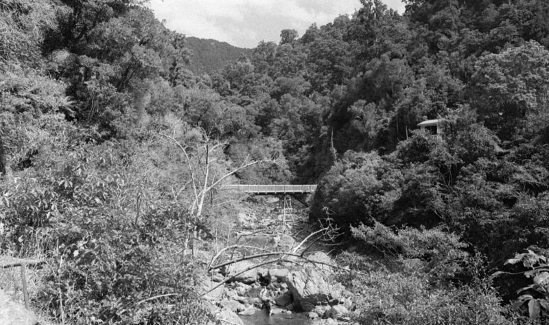 a. Waterworks Reserve - Orongorongo