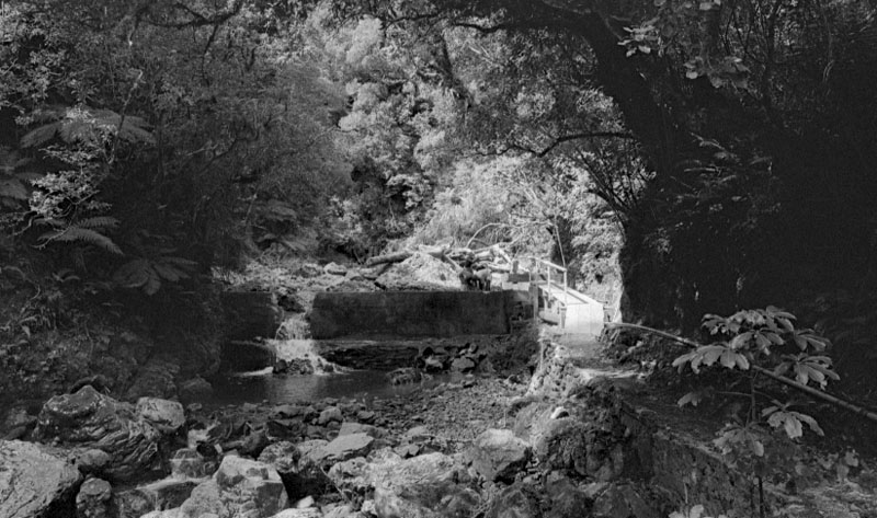 b. Waterworks Reserve - Orongorongo