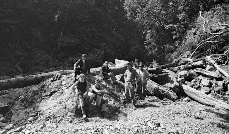 d. Waterworks Reserve - Orongorongo