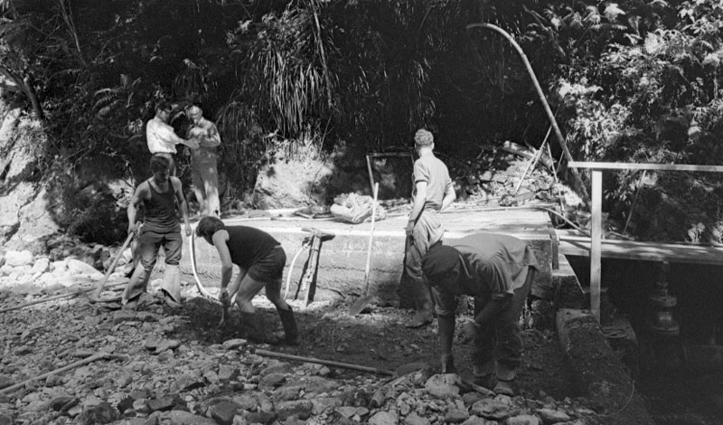 e. Waterworks Reserve - Orongorongo