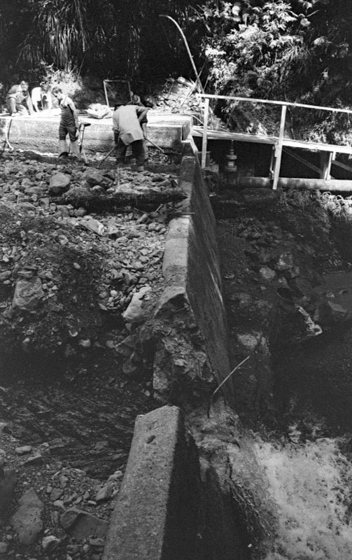 l. Waterworks Reserve - Orongorongo