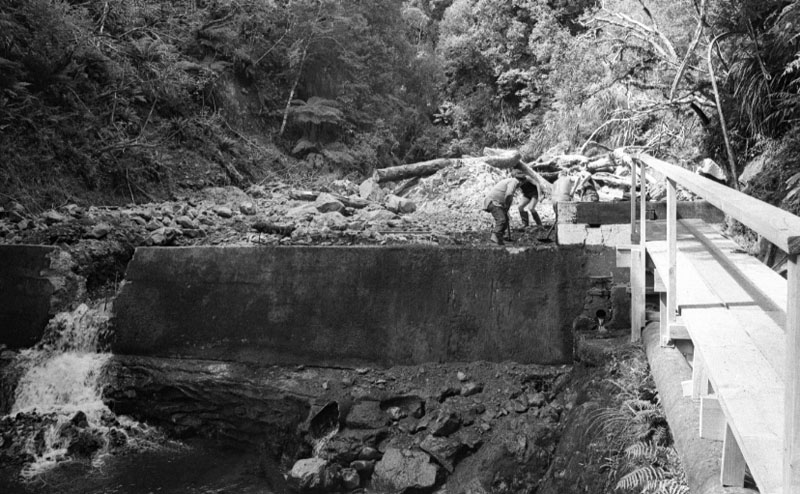 n. Waterworks Reserve - Orongorongo