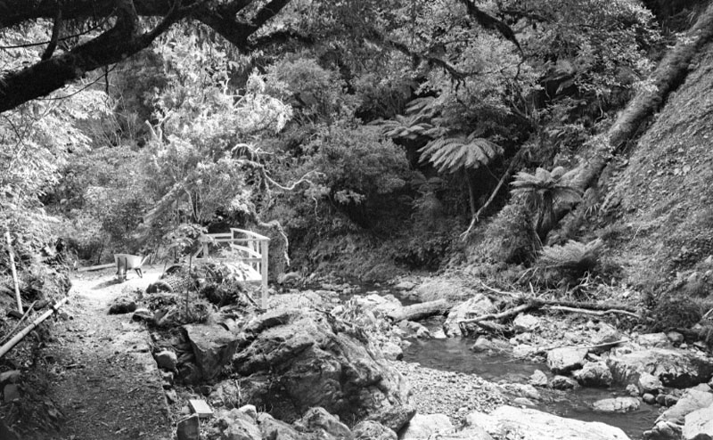 o. Waterworks Reserve - Orongorongo
