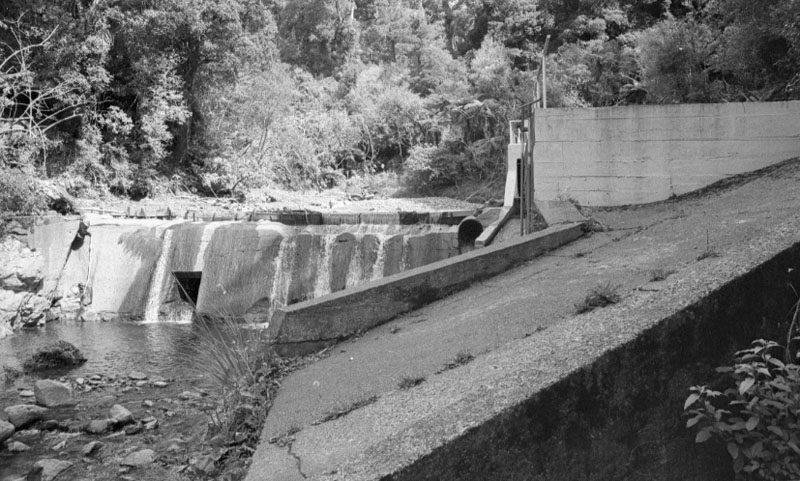 s. Waterworks Reserve - Orongorongo