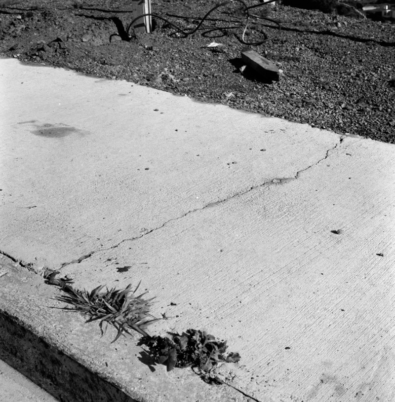 b. Cracked footpath, Woodhouse Avenue