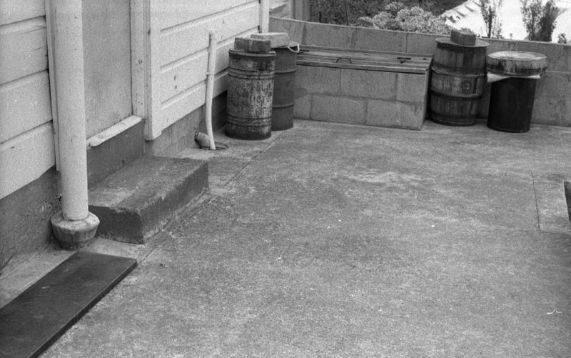 l. 58 Stanley St, collapsed 6 inch sewer