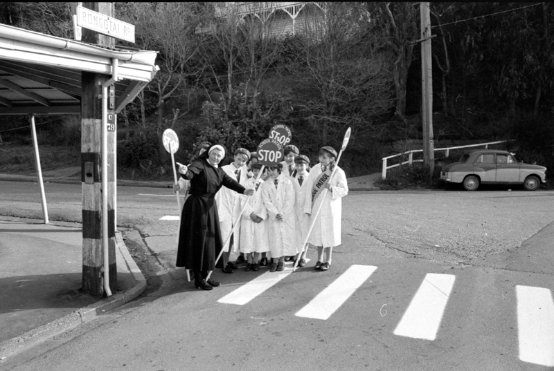 d. Town Planning Appeal Board. School patrols. Wellington Club, The Terrace