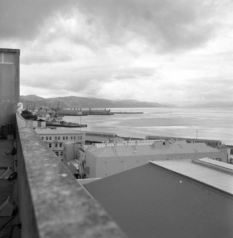 j. Views from roof of MO Building