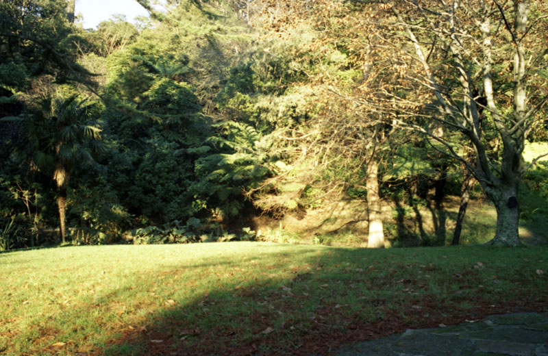 f. Site of proposed Japanese Garden, Botanic Garden