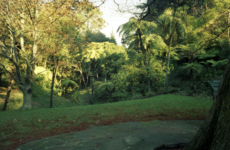 g. Site of proposed Japanese Garden, Botanic Garden