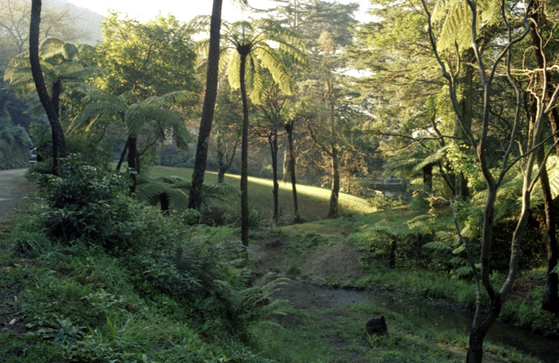h. Site of proposed Japanese Garden, Botanic Garden