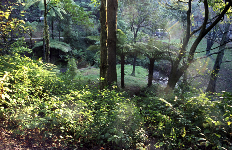 i. Site of proposed Japanese Garden, Botanic Garden