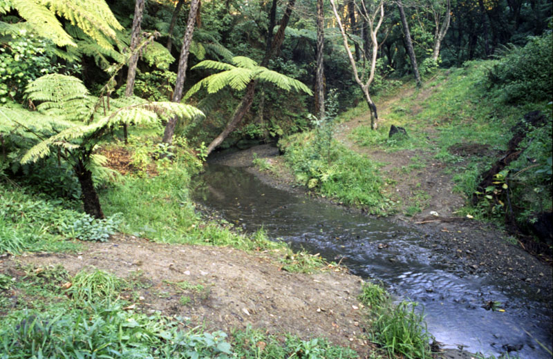 j. Site of proposed Japanese Garden, Botanic Garden