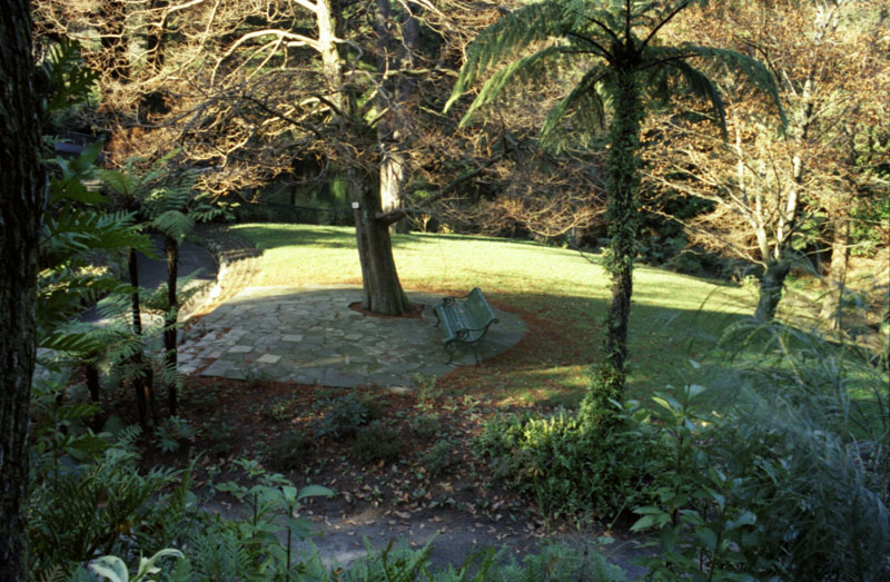 k. Site of proposed Japanese Garden, Botanic Garden