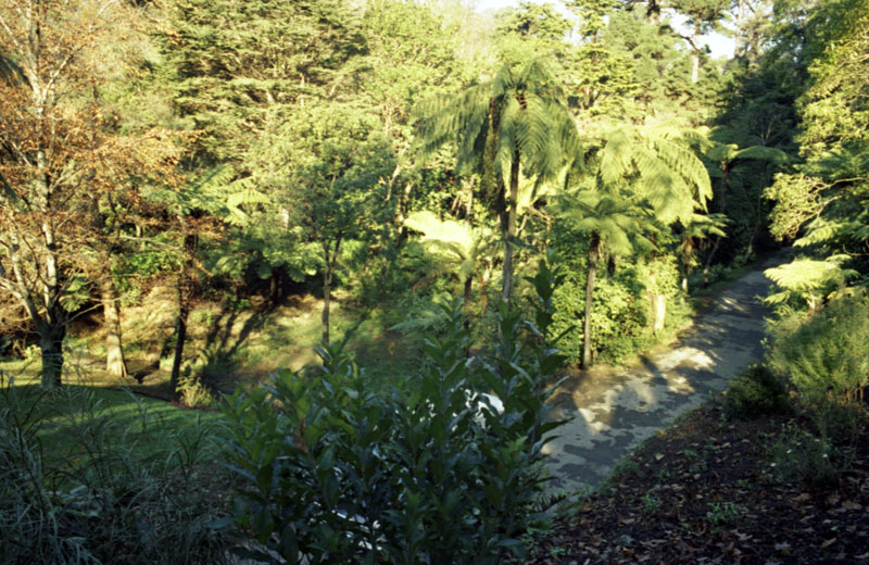 l. Site of proposed Japanese Garden, Botanic Garden