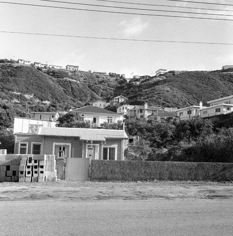 c. Gorse on hillsides