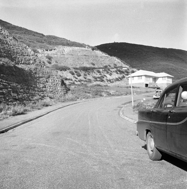 e. Gorse on hillsides
