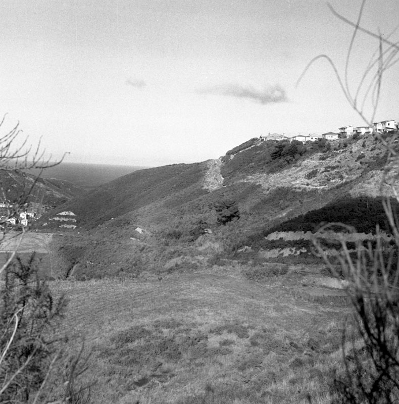 g. Gorse on hillsides