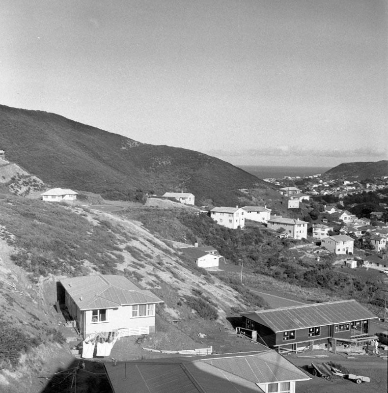 h. Gorse on hillsides