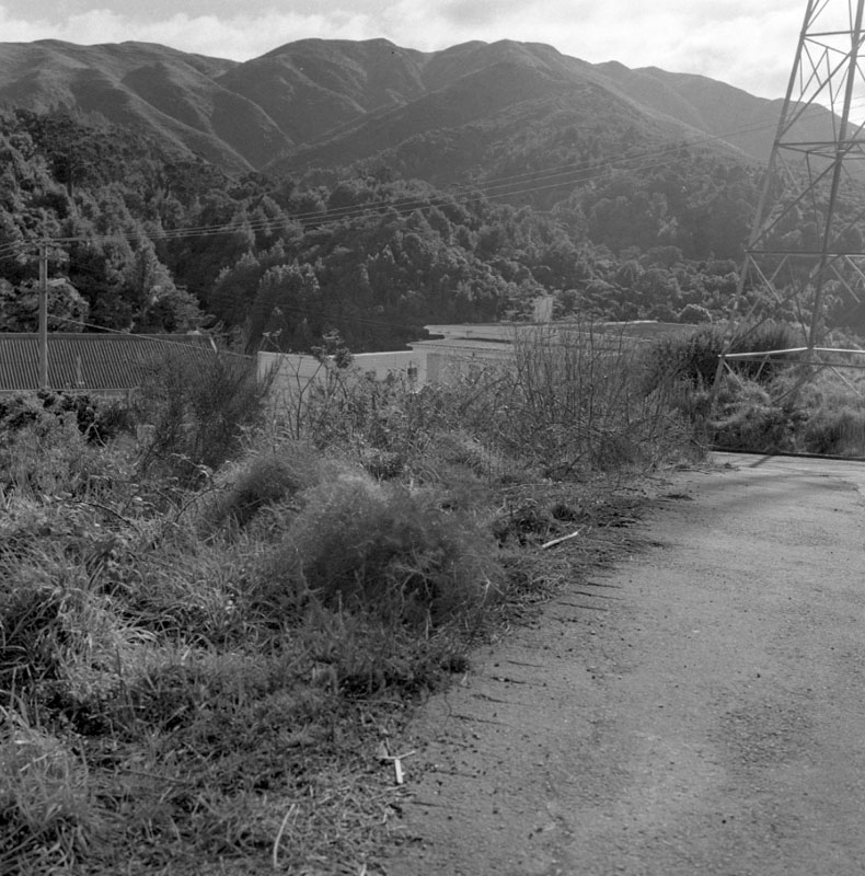 b. Proposed tip, Elliott St, Johnsonville